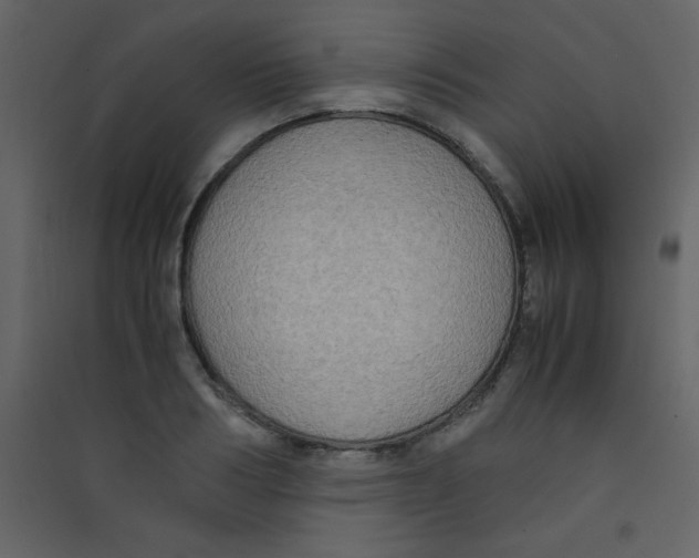 X0000089430986200707131840