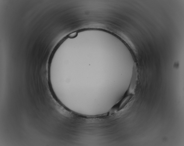 X0000089430988200707131840