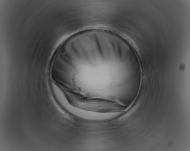 X0000089430989200707131840