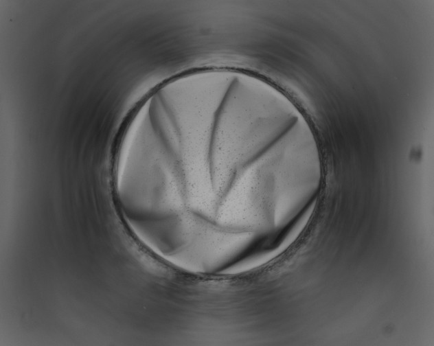 X0000089430990200707131840