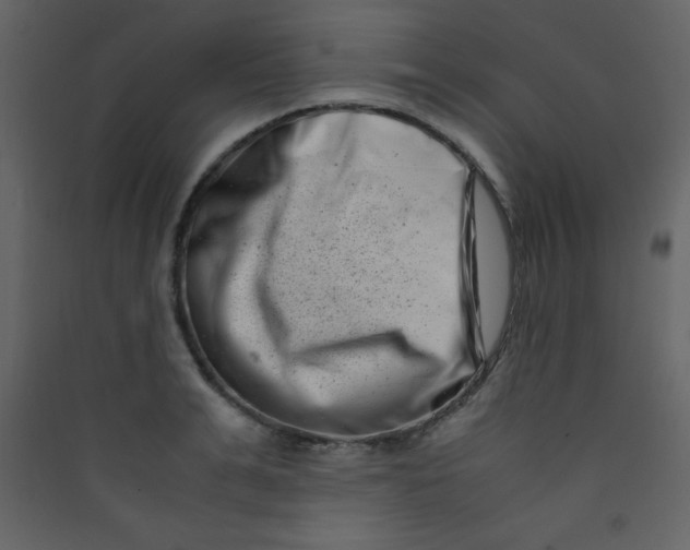 X0000089430991200707131840