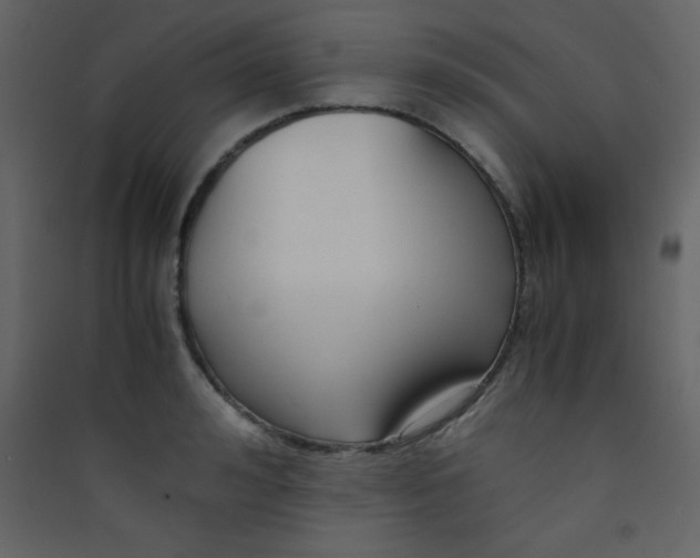 X0000089430992200707131840