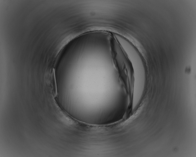 X0000089430993200707131840