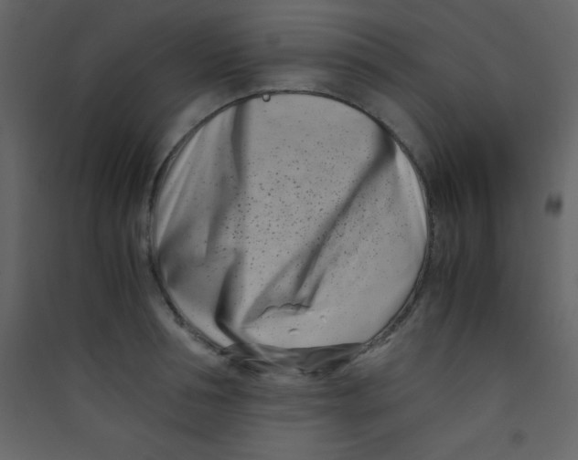 X0000089430994200707131840