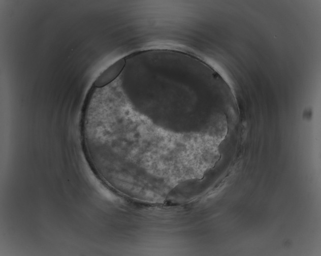 X0000089430995200707131840