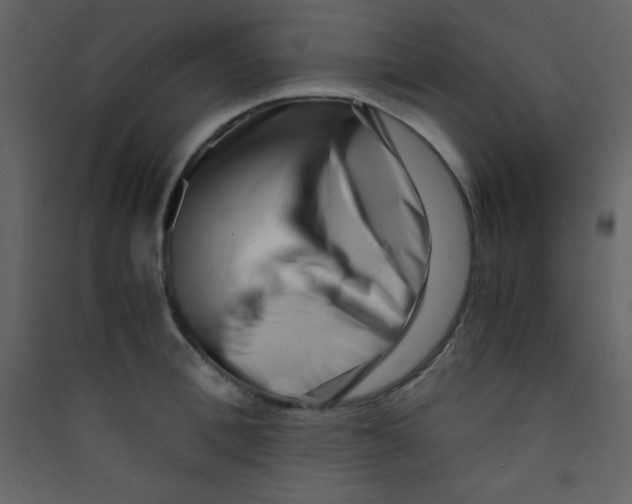 X0000089430996200707131840