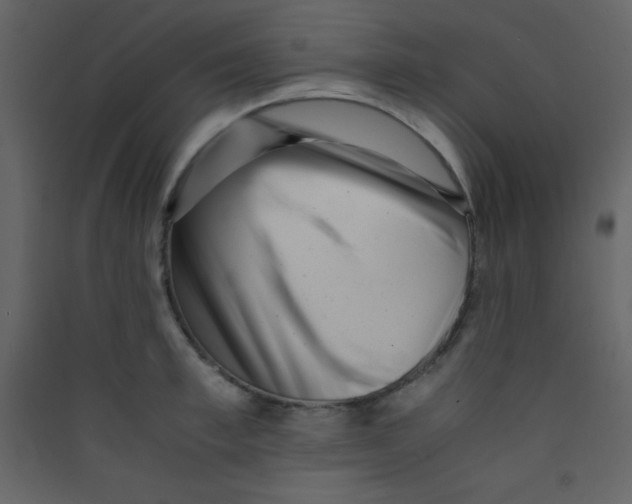 X0000089430997200707131840