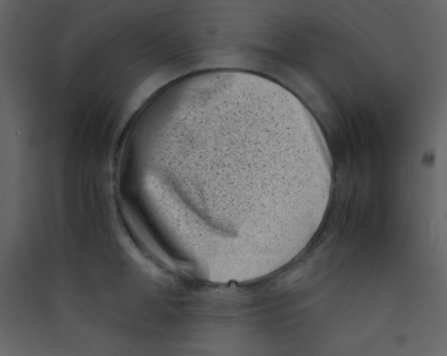 X0000089430998200707131840