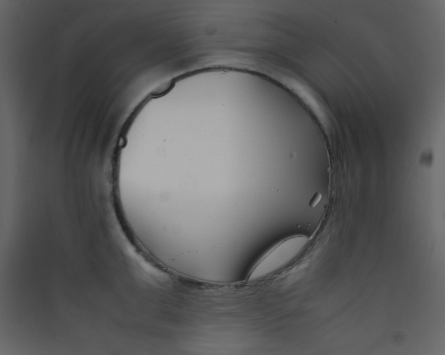 X0000089430999200707131840