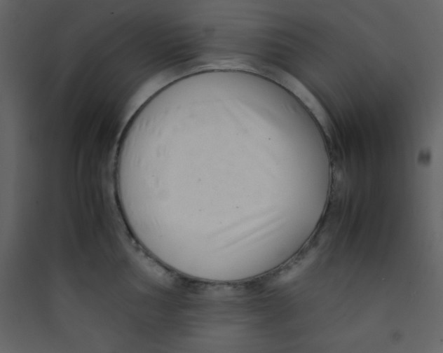 X0000089431002200707131840