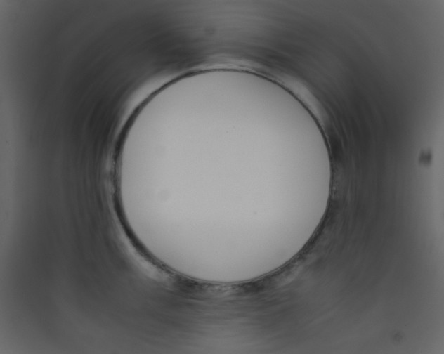 X0000089431003200707131840