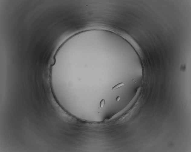 X0000089431004200707131840