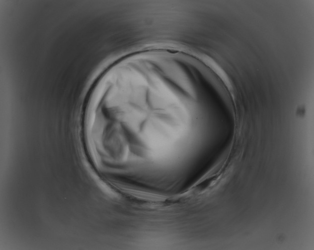 X0000089431005200707131840