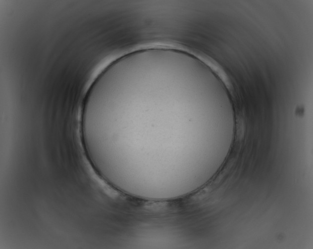 X0000089431006200707131840