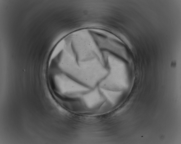 X0000089431007200707131840