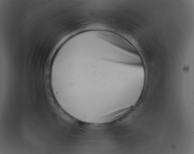 X0000089431008200707131840