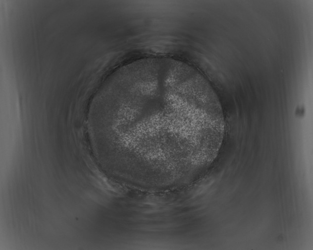 X0000089431009200707131840