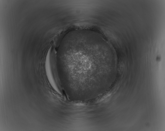 X0000089431010200707131840