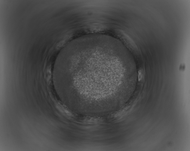 X0000089431011200707131840