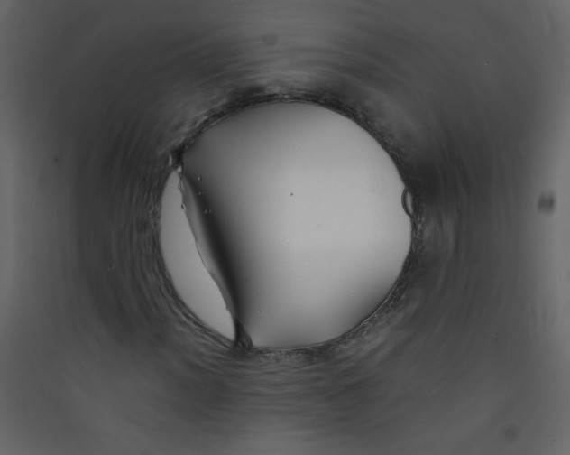 X0000089431012200707131840