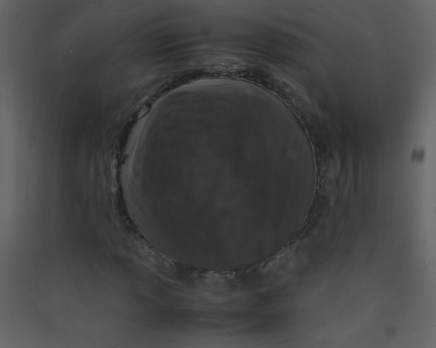 X0000089431013200707131840