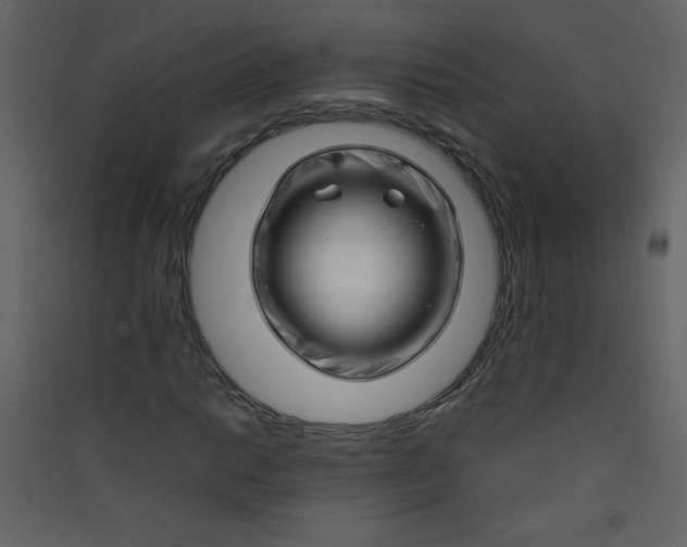 X0000089431014200707131840