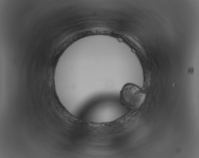 X0000089431015200707131840