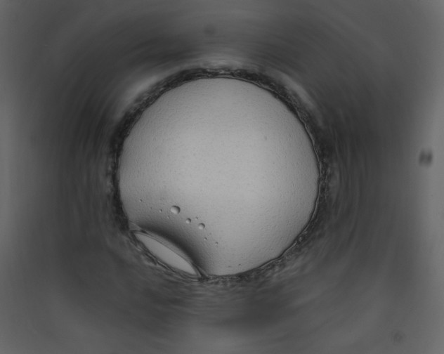 X0000089431016200707131840