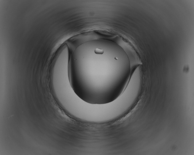 X0000089431018200707131840