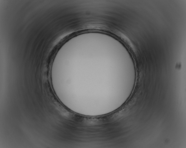 X0000089431019200707131840