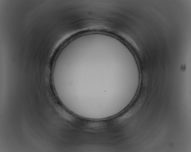 X0000089431021200707131840