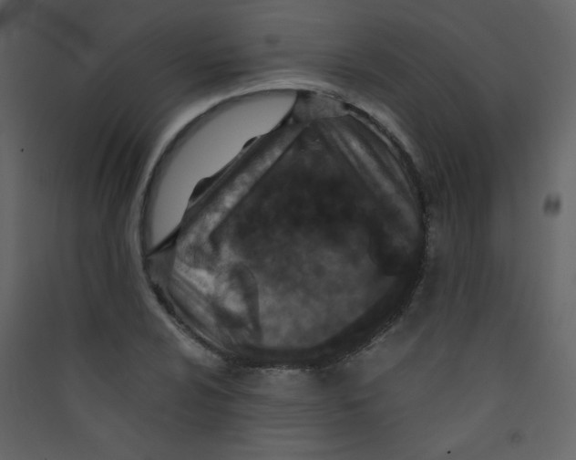 X0000089431024200707131840