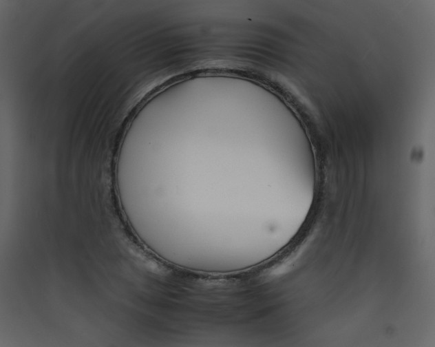 X0000089431025200707131840