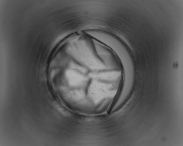 X0000089431026200707131840