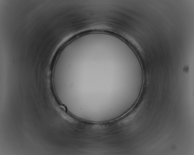 X0000089431029200707131840