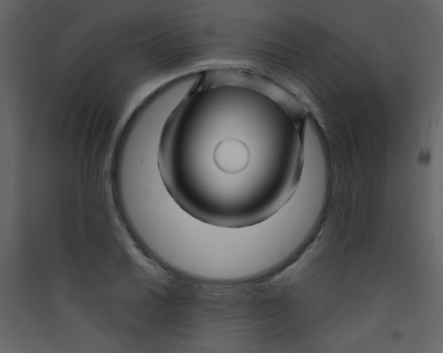 X0000089431030200707131840