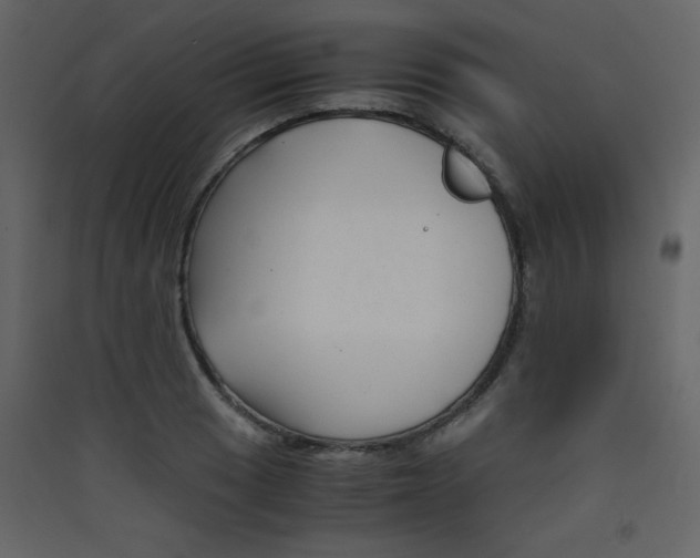 X0000089431033200707131840