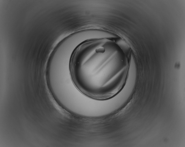 X0000089431034200707131840