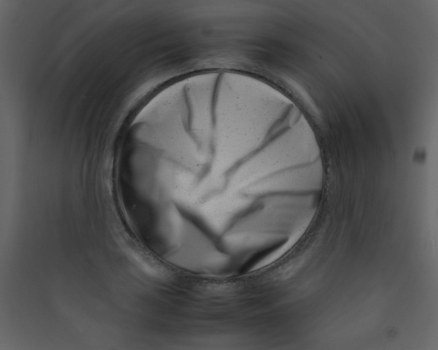 X0000089431035200707131840