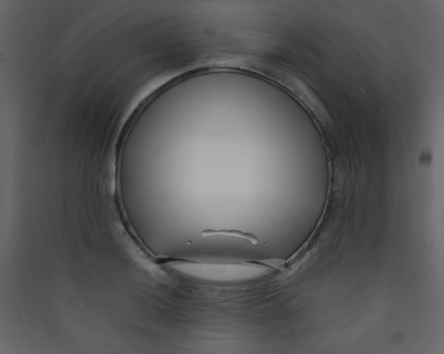 X0000089431036200707131840