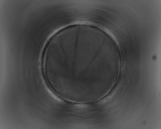 X0000089431037200707131840