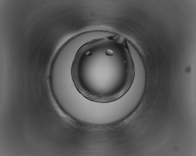 X0000089431038200707131840