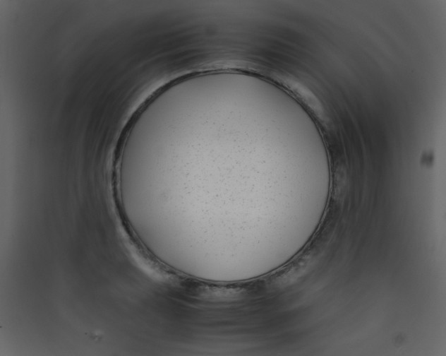 X0000089431039200707131840