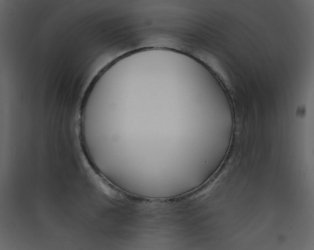 X0000089431040200707131840