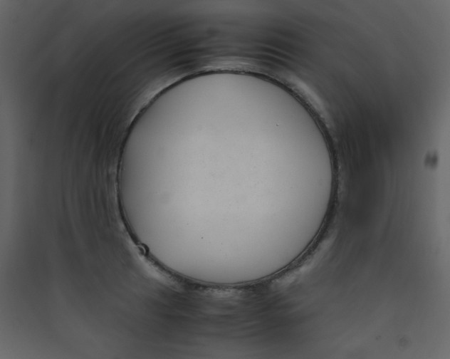 X0000089431041200707131840