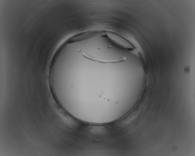 X0000089431043200707131840