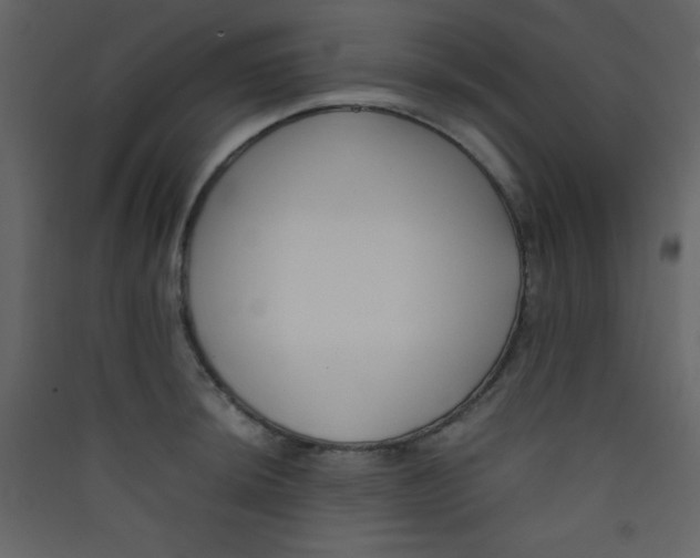 X0000089431044200707131840