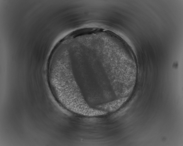 X0000089431045200707131840