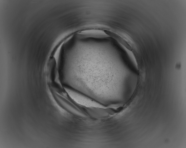 X0000089431046200707131840