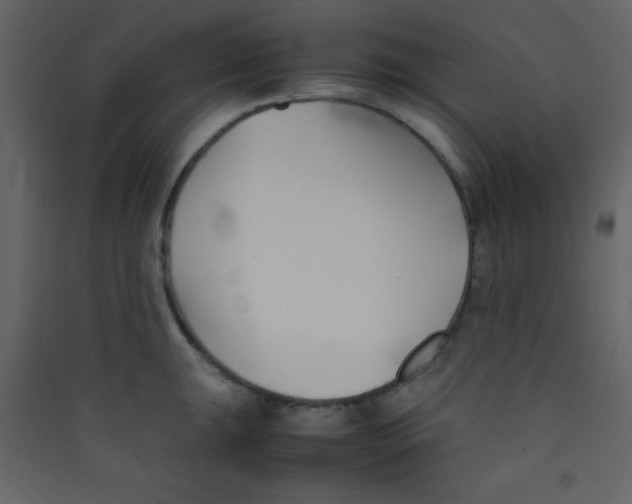 X0000089431047200707131840